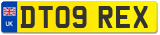 DT09 REX