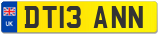 DT13 ANN