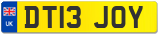 DT13 JOY