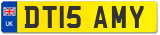 DT15 AMY