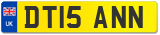 DT15 ANN