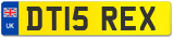 DT15 REX