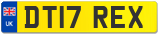 DT17 REX