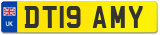 DT19 AMY