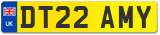 DT22 AMY