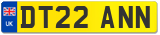 DT22 ANN