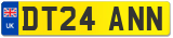 DT24 ANN