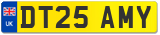 DT25 AMY