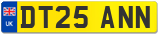 DT25 ANN