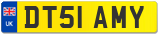 DT51 AMY