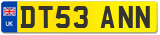 DT53 ANN