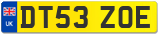 DT53 ZOE