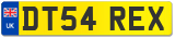 DT54 REX