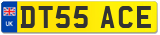 DT55 ACE