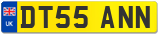 DT55 ANN