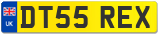 DT55 REX