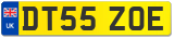 DT55 ZOE