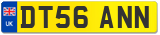 DT56 ANN