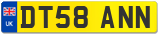 DT58 ANN