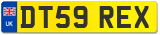 DT59 REX