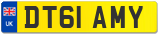 DT61 AMY