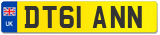 DT61 ANN