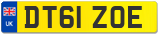 DT61 ZOE