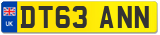 DT63 ANN