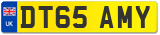 DT65 AMY