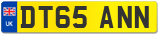 DT65 ANN