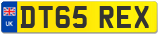 DT65 REX