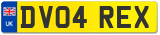 DV04 REX