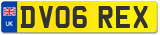 DV06 REX