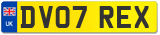 DV07 REX