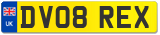 DV08 REX
