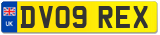 DV09 REX