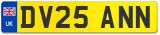 DV25 ANN