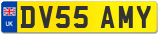 DV55 AMY