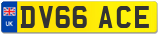 DV66 ACE