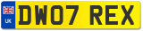 DW07 REX