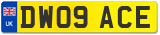 DW09 ACE