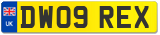 DW09 REX