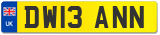 DW13 ANN