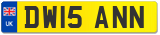 DW15 ANN