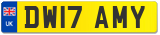 DW17 AMY