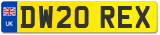 DW20 REX