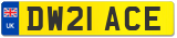 DW21 ACE