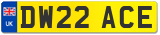 DW22 ACE