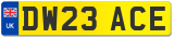 DW23 ACE