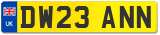 DW23 ANN